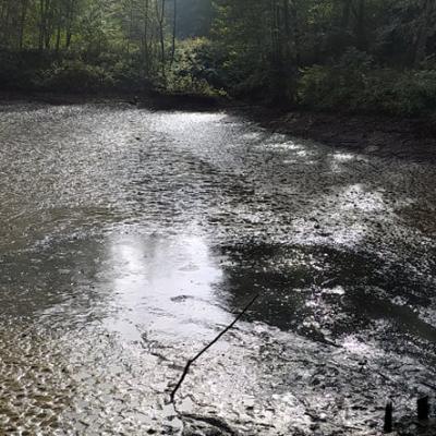 Výlov Radišov 17.10.2021