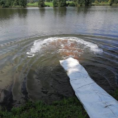 Zarybneni 24.8.2022