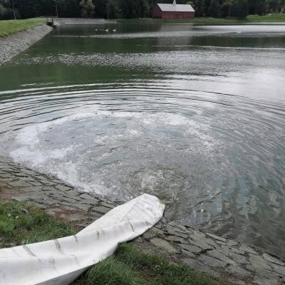 Zarybneni 24.8.2022