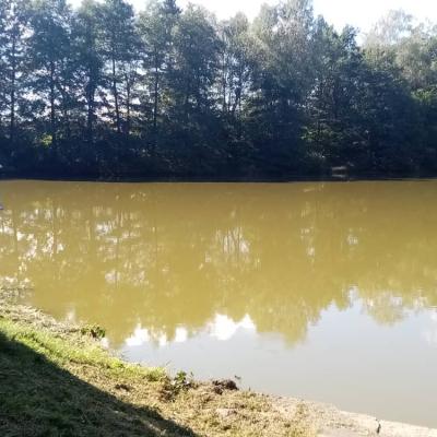 Zarybnění 23.9.2022
