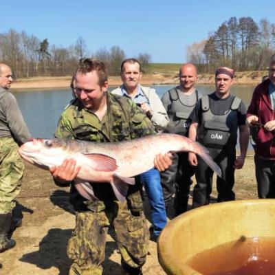 Výlov rybník Horní Boršovský 25.3.2022