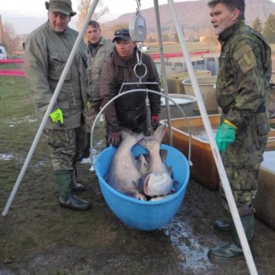 Vylov 23.4.2022 14