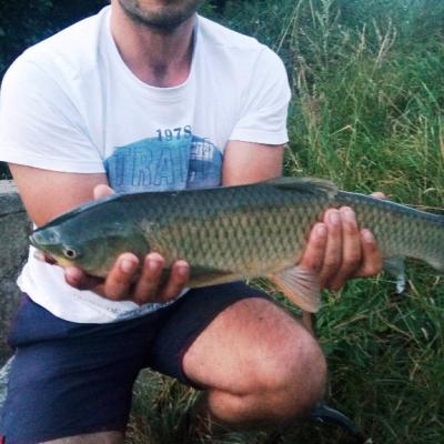 Tomasalexandr 01