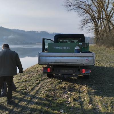 Zarybneni Brezen 8