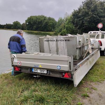 Zarynovani Leto 40