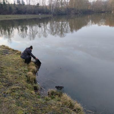 Zarybňování revírů 2024